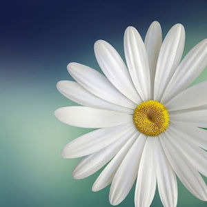 Meet your Posher, Santhana